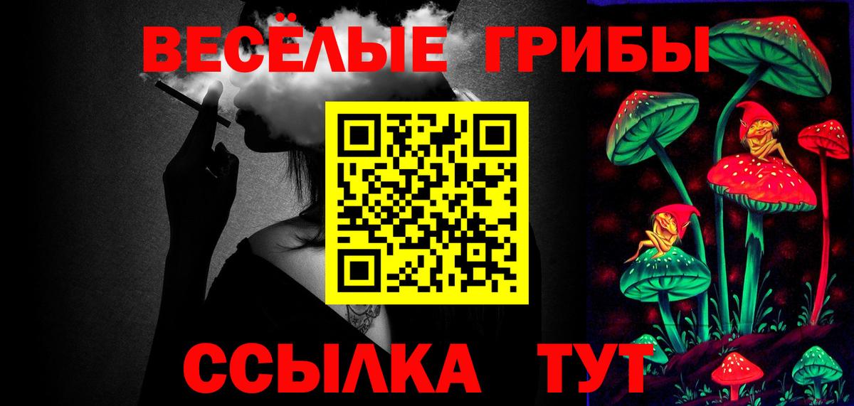 как найти   Вход с VPN  Валуйки  Псилоцибиновые грибы GOLDEN TEACHER 